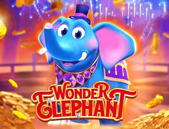 Wonder Elephant